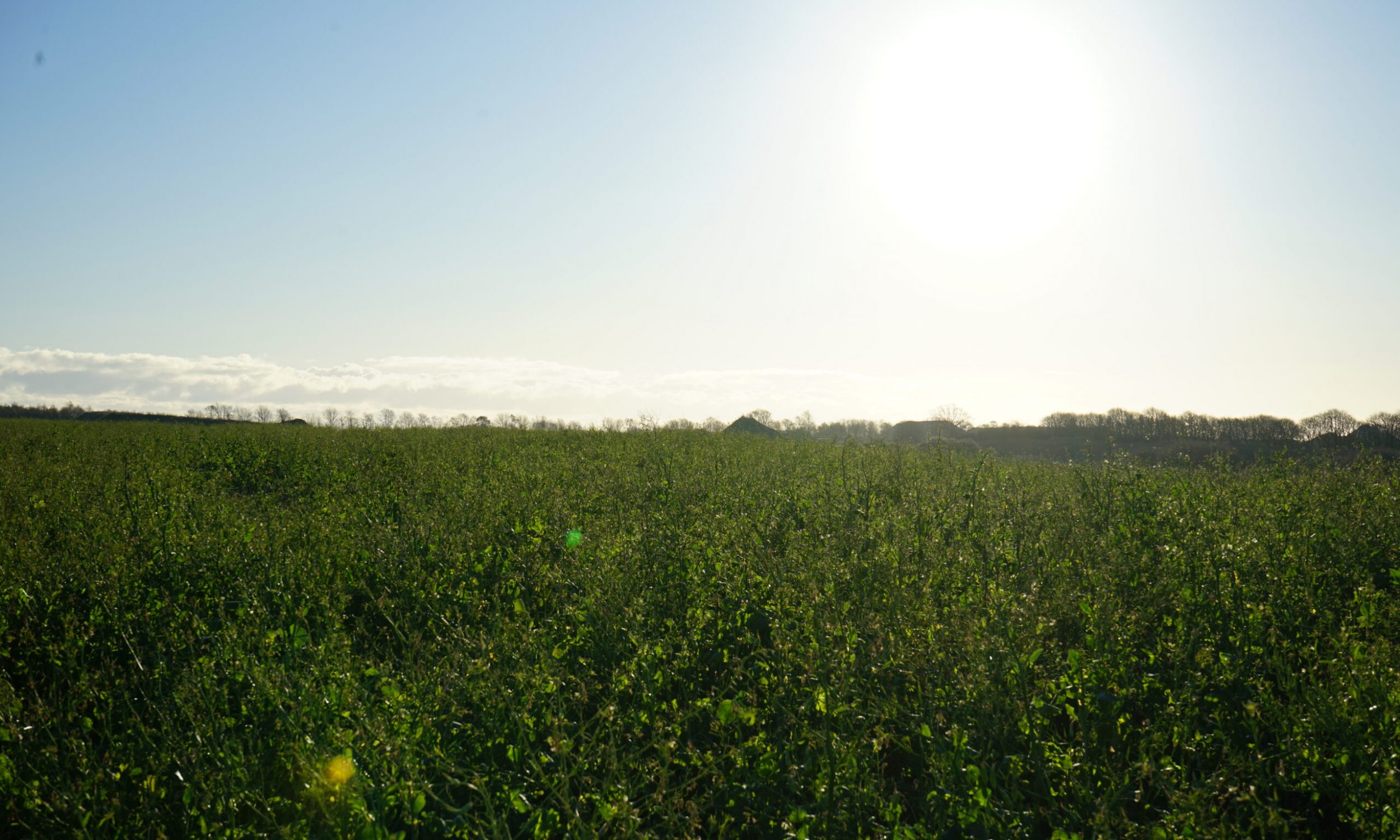 DSC00370