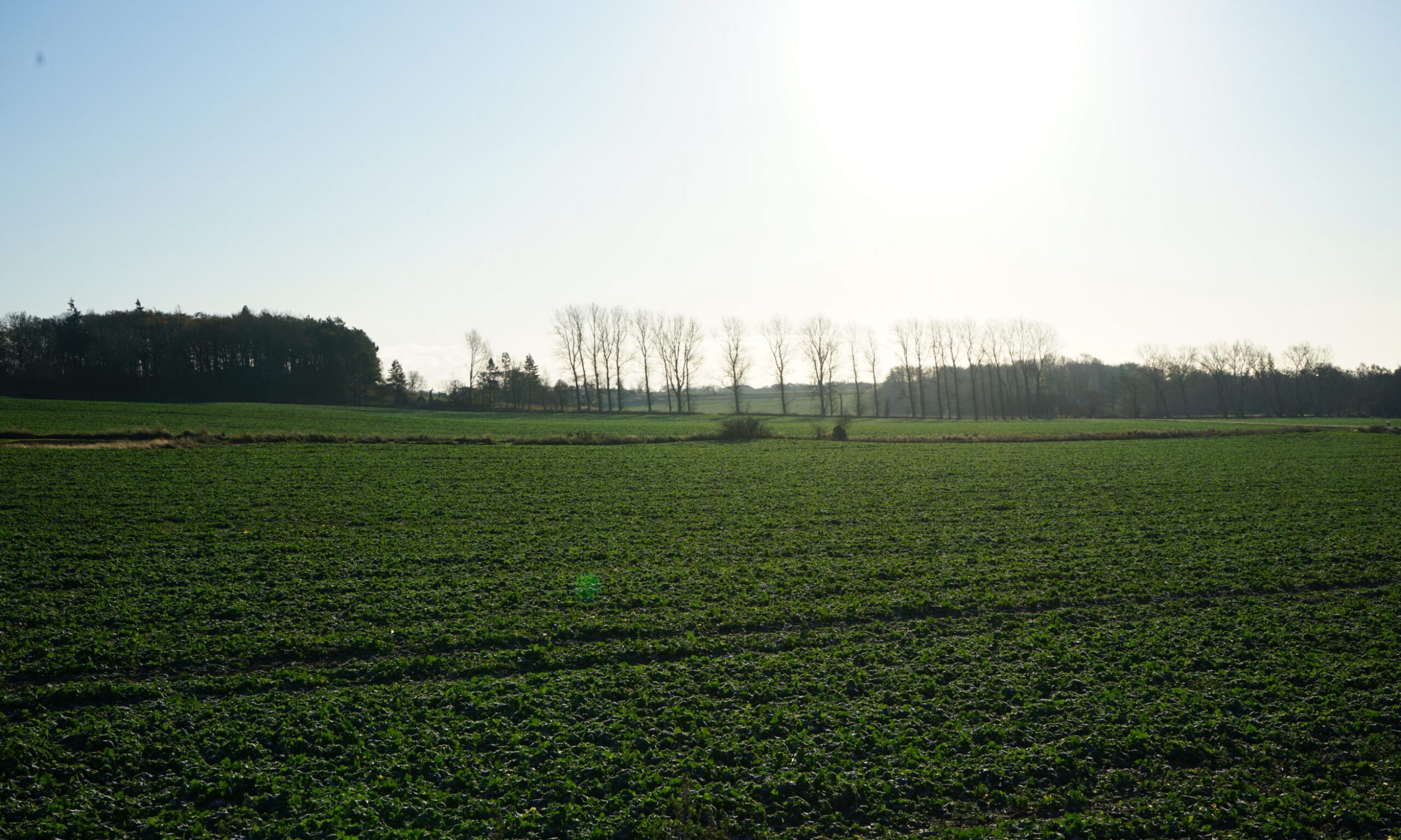 DSC00378