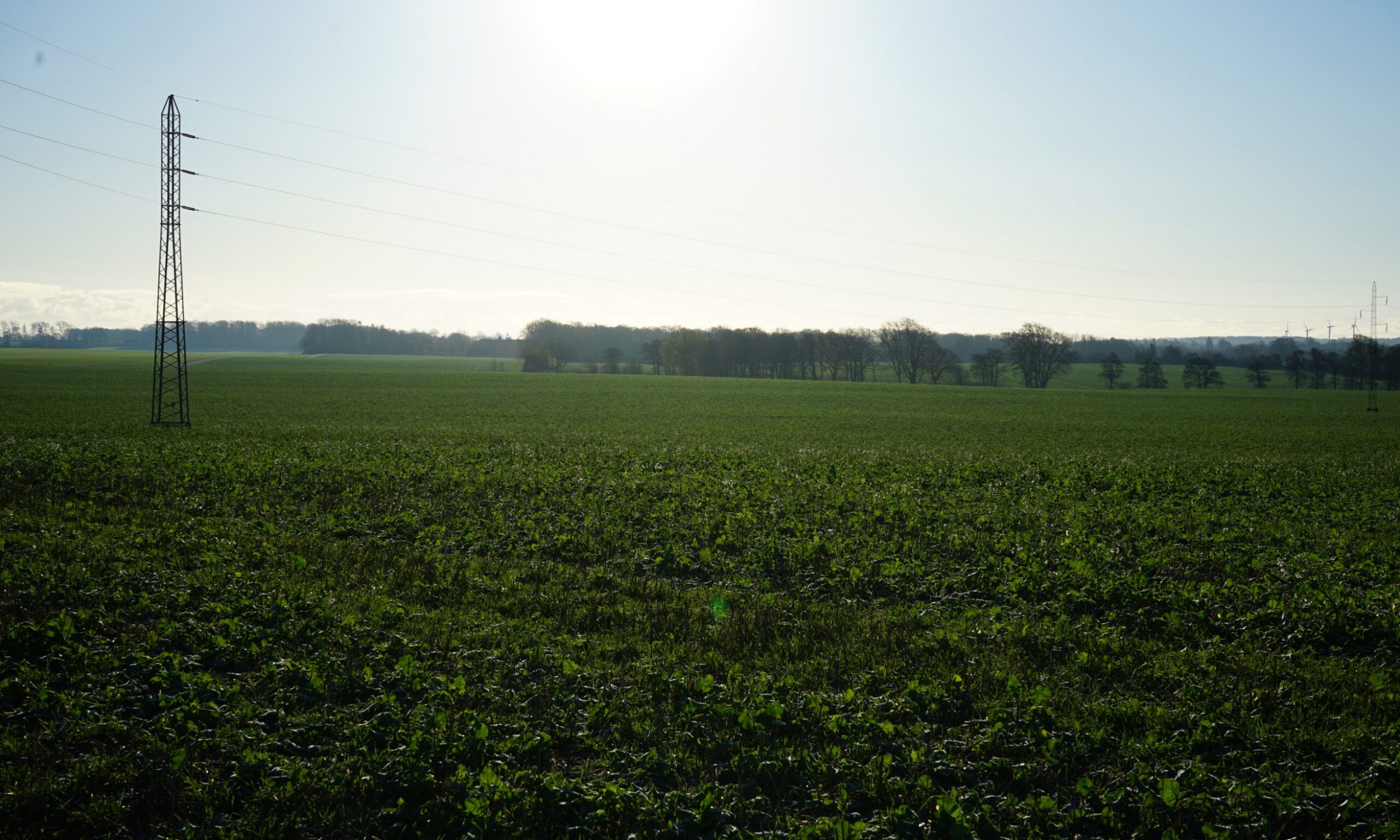 DSC00379