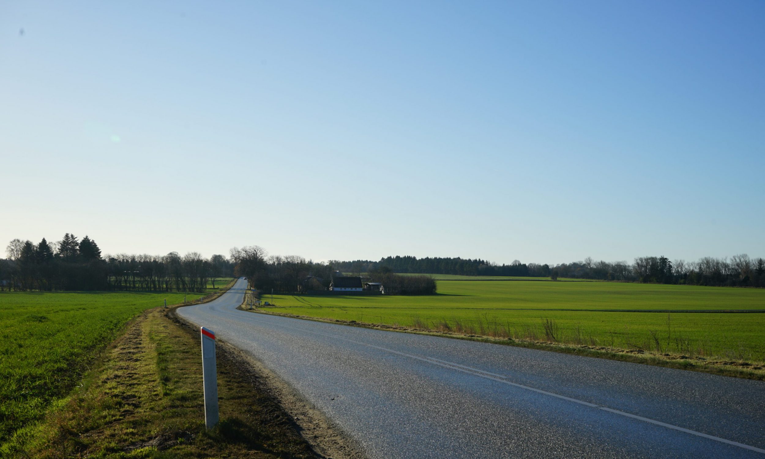 DSC00384